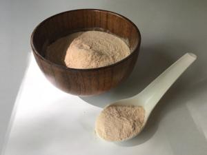 Wholesale - Organic Baobab Fruit Powder (BULK)